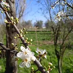 Farm stay Rupe Delle Sorbe Atella