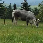 Farm stay Rupe Delle Sorbe