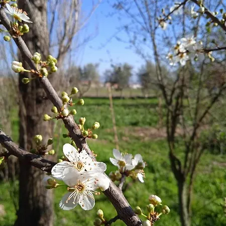 Farm stay Rupe Delle Sorbe Atella