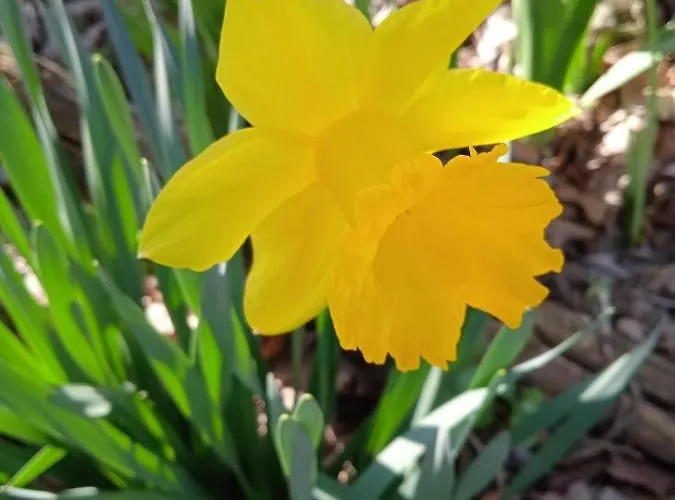 בית חווה Rupe Delle Sorbe *