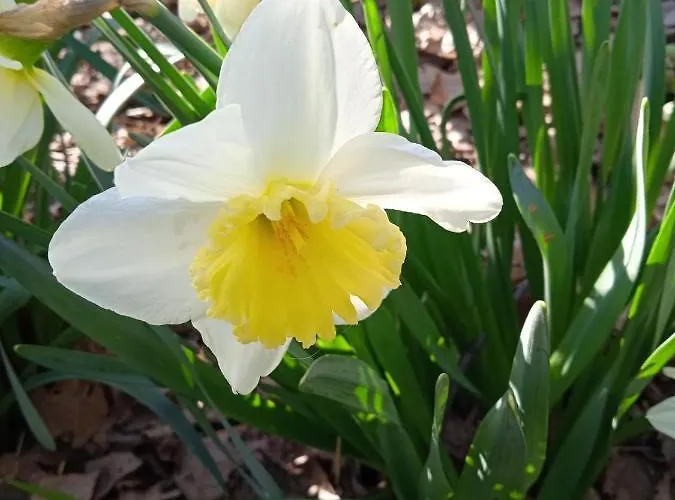 Alloggio per agriturismo Rupe Delle Sorbe