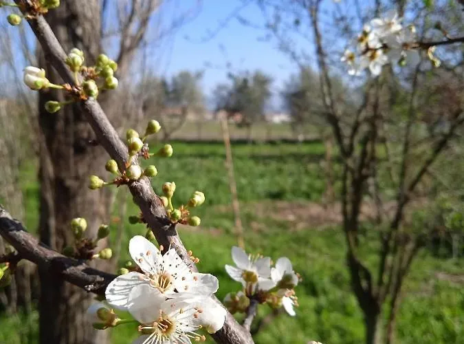 Alloggio per agriturismo Rupe Delle Sorbe Atella