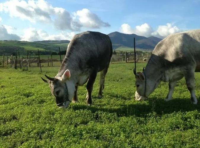 Alloggio per agriturismo Rupe Delle Sorbe