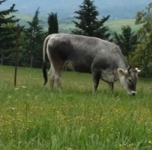 Alloggio per agriturismo Rupe Delle Sorbe